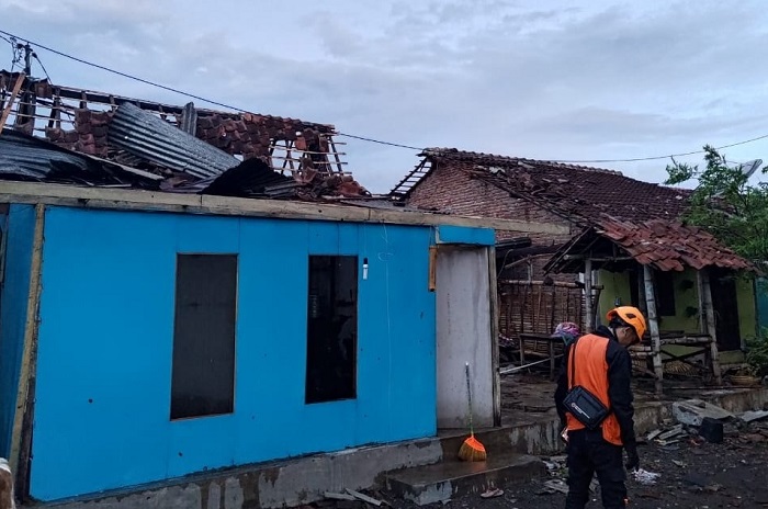 Tim gabungan dan relawan bekerja sama melakukan penanganan pohon tumbang terdampak angin kencang yang menerjang Desa Walidono, Kecamatan Prajekan, Kabupaten Bondowoso. (Dok. BPBD Kabupaten Bondowoso)