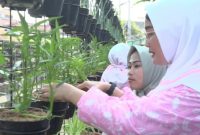 Urban Farming di Kelurahan Padjajaran, Kecamatan Cicendo, Kota Bandung. (Dok. BRI)
