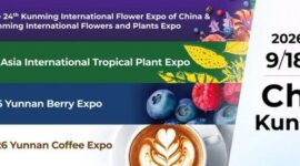 Ekspor Bunga Yunnan Terus Tumbuh Pesat Menjelang IFEX Kunming 2026