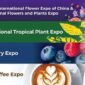 Ekspor Bunga Yunnan Terus Tumbuh Pesat Menjelang IFEX Kunming 2026